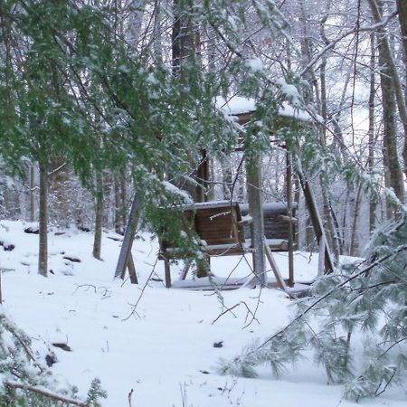 داهلونغا Mountain Top Lodge المظهر الخارجي الصورة